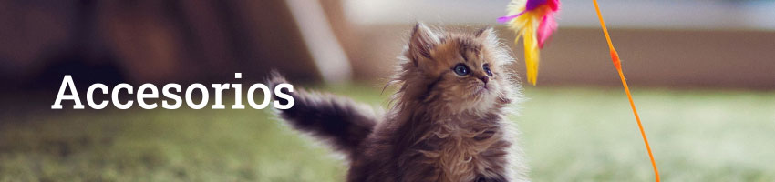 Accesorios para gatos