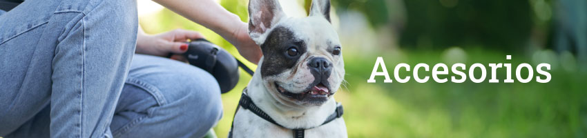 Accesorios para perros