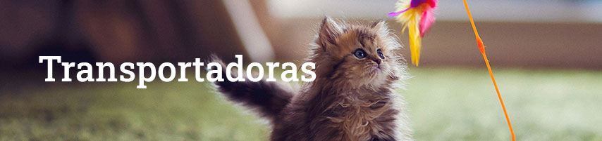 Gatos subcat transportadoras