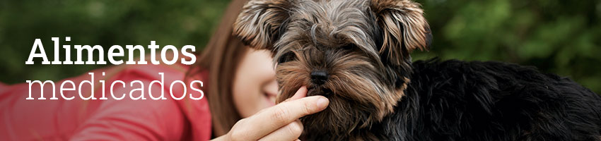 Perros subcat alimentos medicados