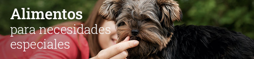 Perros subcat alimentos necesidades especiales