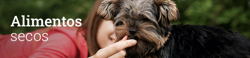 Perros subcat alimentos secos
