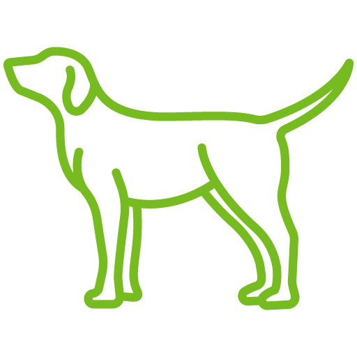 Banner home tienda para perros