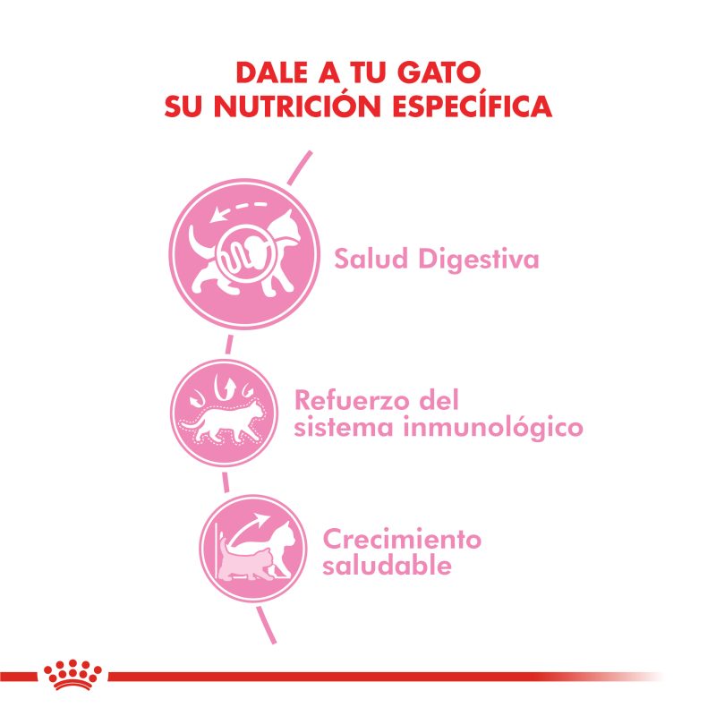 Royal Canin Kitten 7.5 Kg - Imagen 2
