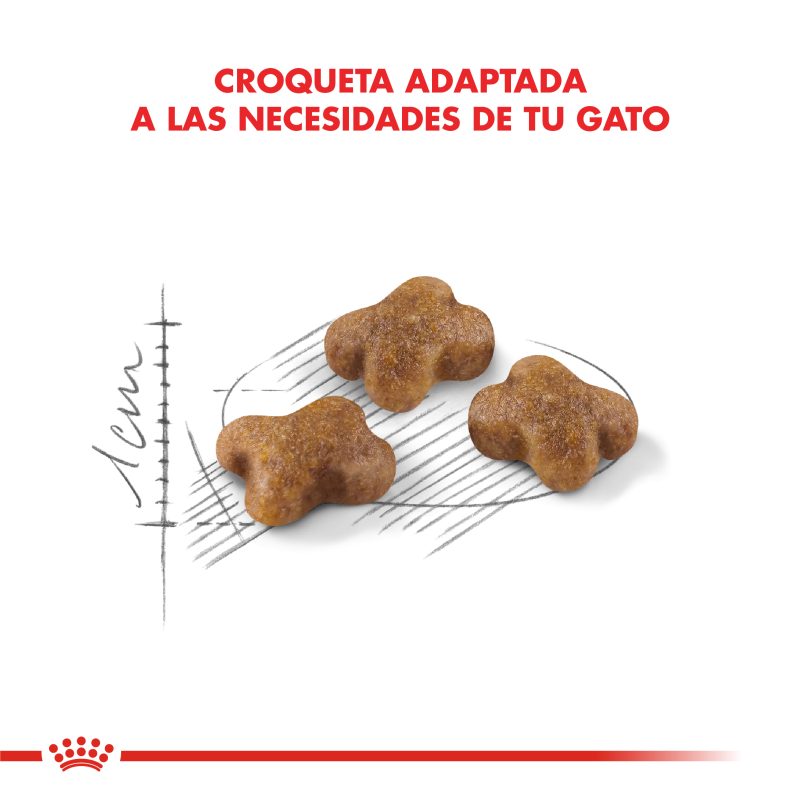 Royal Canin Kitten 7.5 Kg - Imagen 4