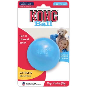 Kong Puppy Ball